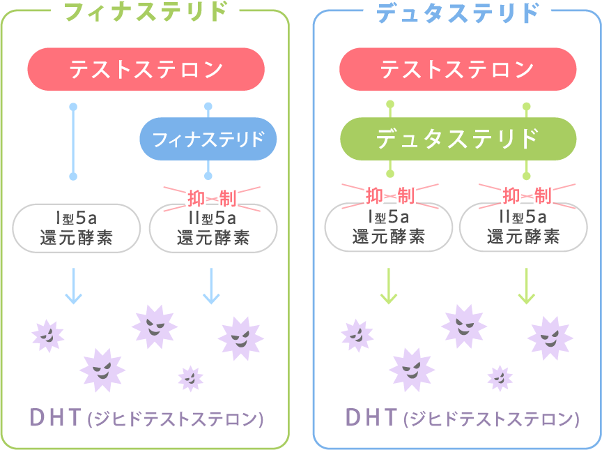 AGA治療薬の違い