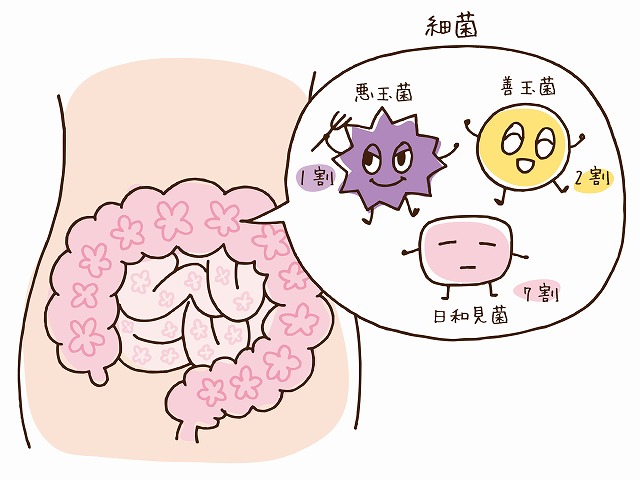 名古屋で腸内フローラ検査なら名駅さくら医院 名古屋歯科 名古屋で腸内フローラ検査なら名駅さくら医院 名古屋歯科