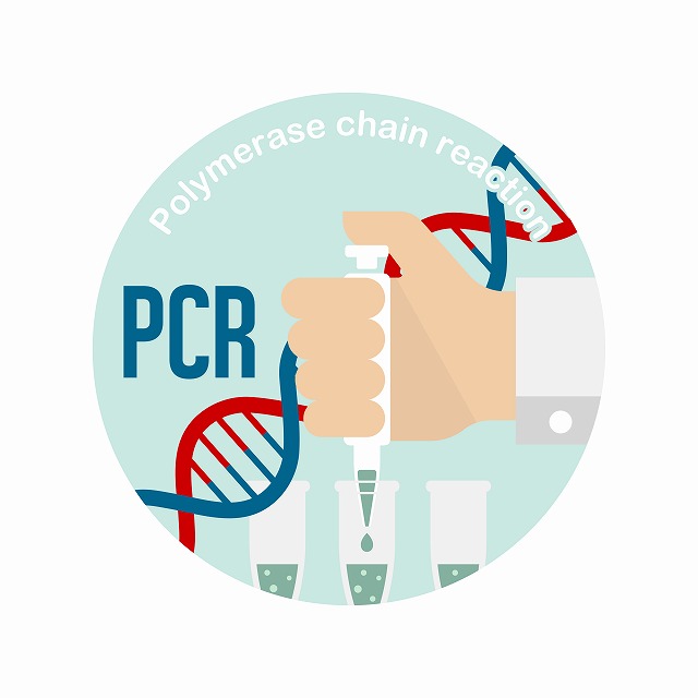 PCR検査